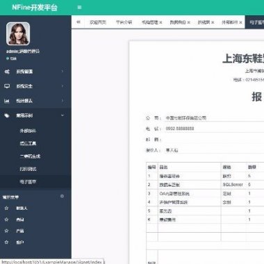 NFine快速开发框架源码 基于C#语言的极速WEB+ORM框架 使用ApacheLicense2.0协议