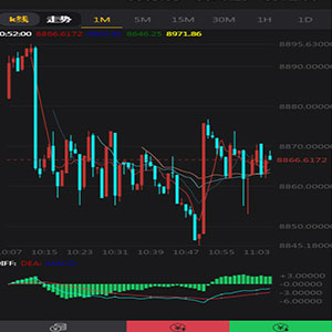 最新微盘完美运营免公众号带单控+已接支付+完整数据+虚拟盘安装视频教程