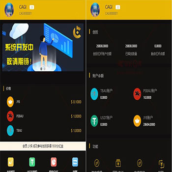 CAGI投资理财区块链源码下载CAGI虚拟资产币投资分红理财创投源码+杠杆转账+完整源码