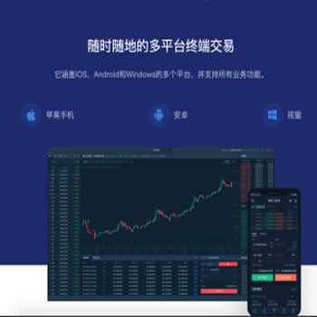 币严源码，纯Java交易所源码场外交