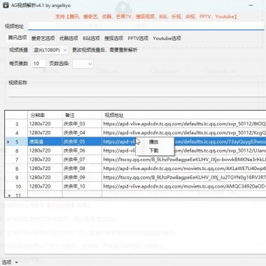 视频解析工具 在线观看视频 解析播放高清无水印的视频 支持各种视频网站 下载去除视频水印